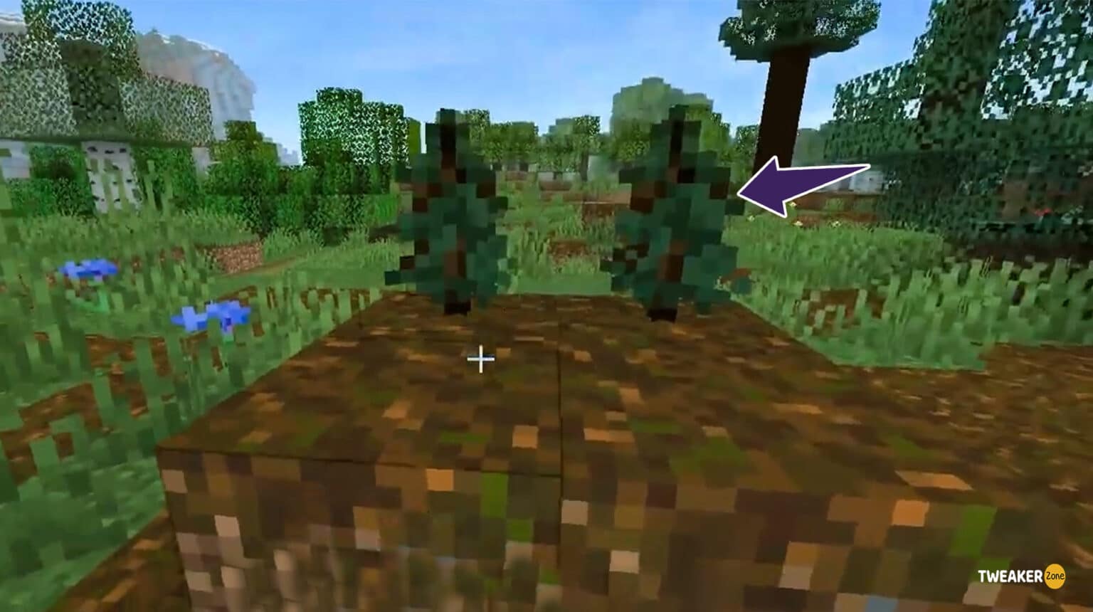 Minecraft Spruce Tree: Everything You Should Know - Tweakerzone