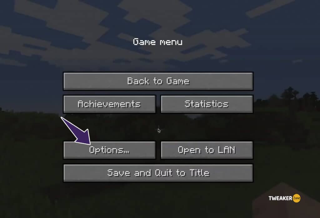 Minecraft in game Options