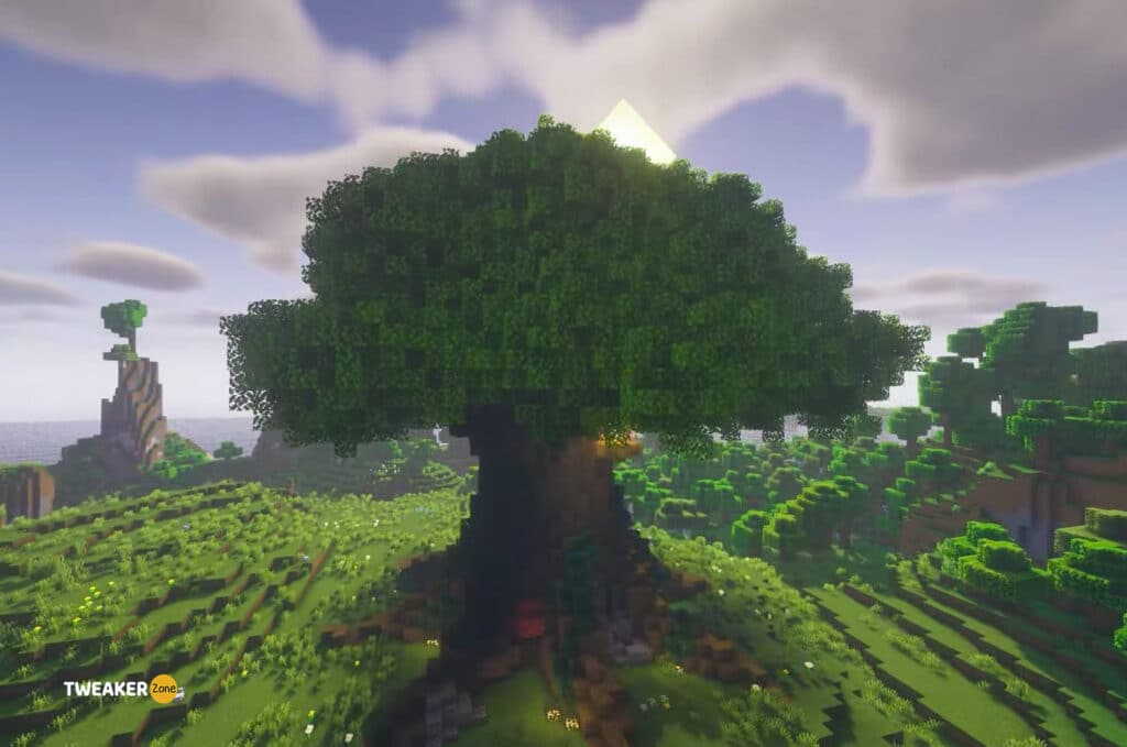 Do Trees Regrow In Minecraft