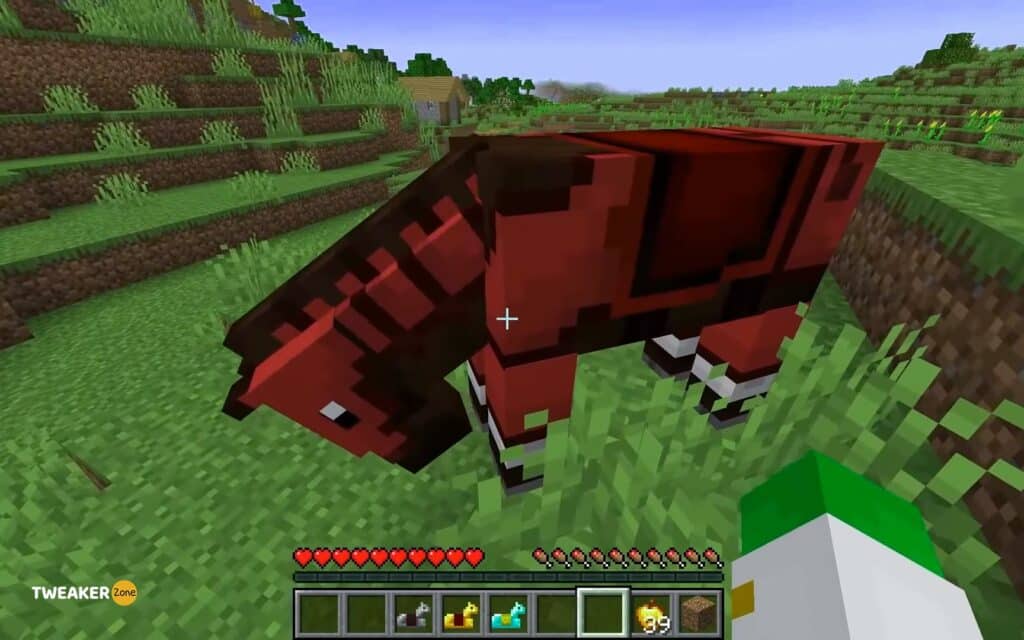 Features Of Horses In Minecraft