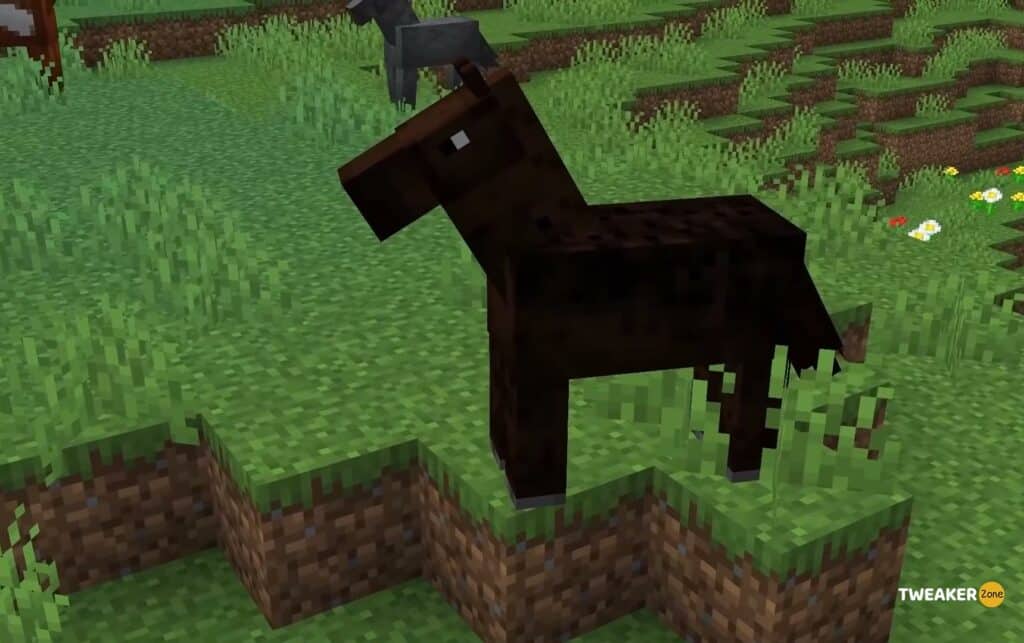 Feed The Food to horse in Minecraft