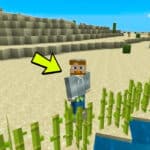 Grow Sugar Cane In Minecraft