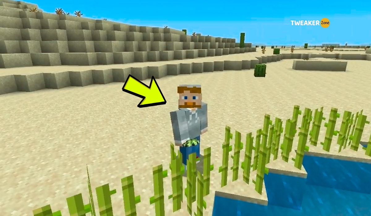 Grow Sugar Cane In Minecraft