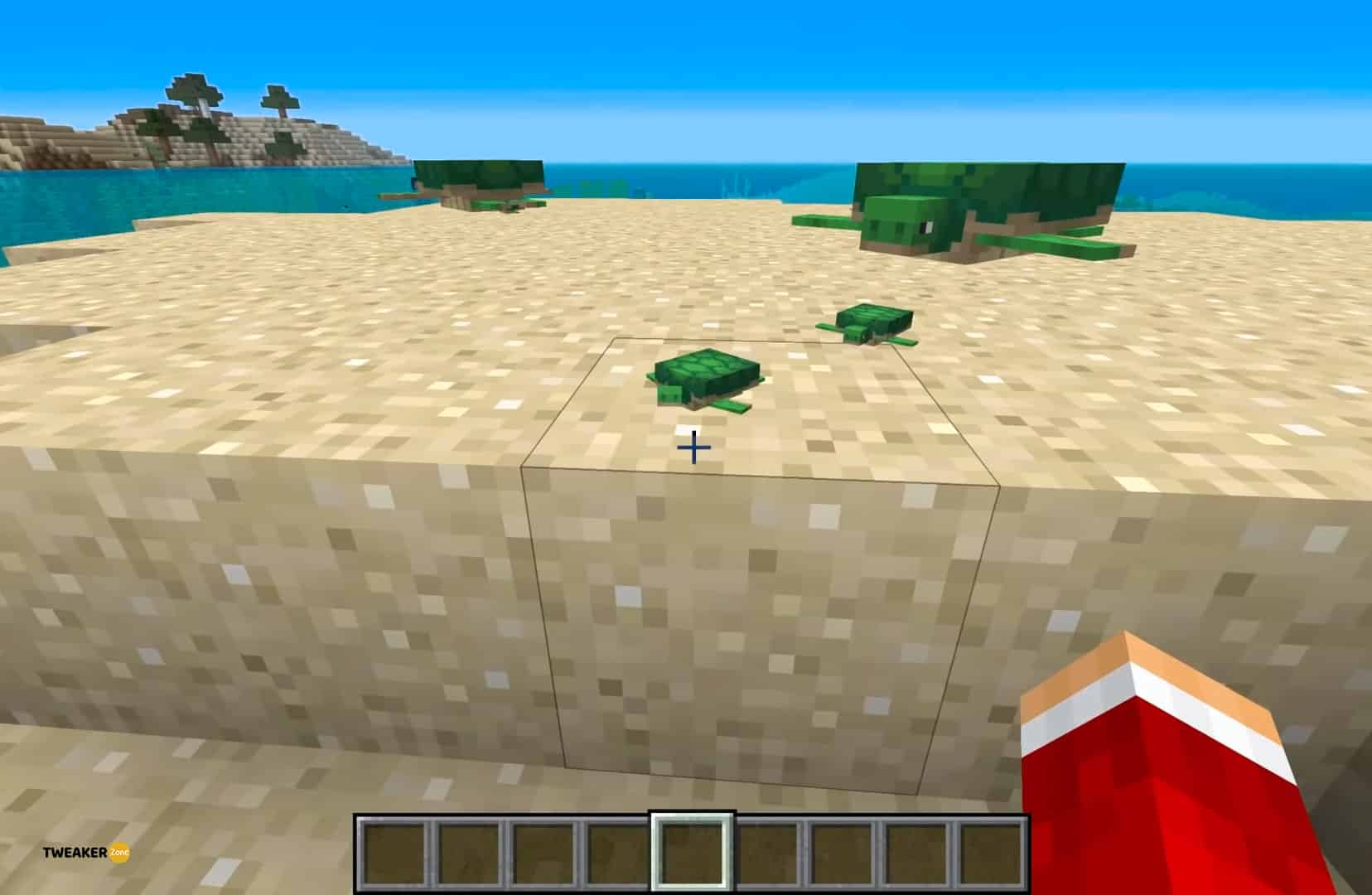 How Long Do Turtle Eggs Take To Hatch In Minecraft Java And Bedrock Complete Guide Tweakerzone