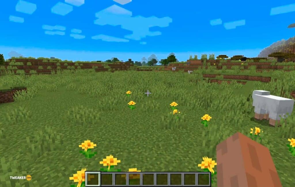 Remove The Grass in Minecraft