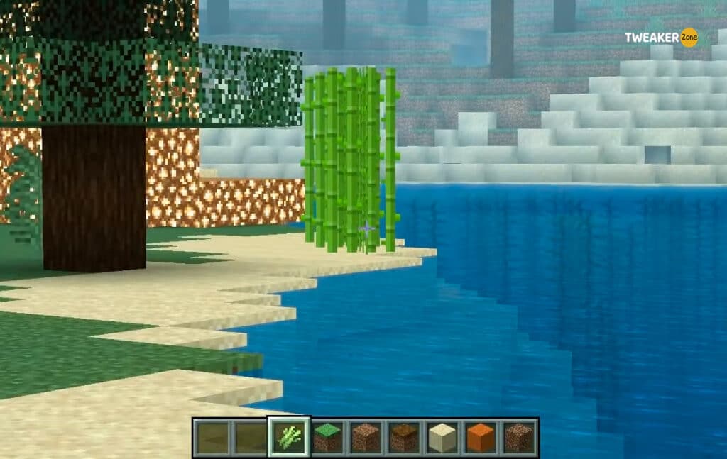 Sugar Cane In Minecraft
