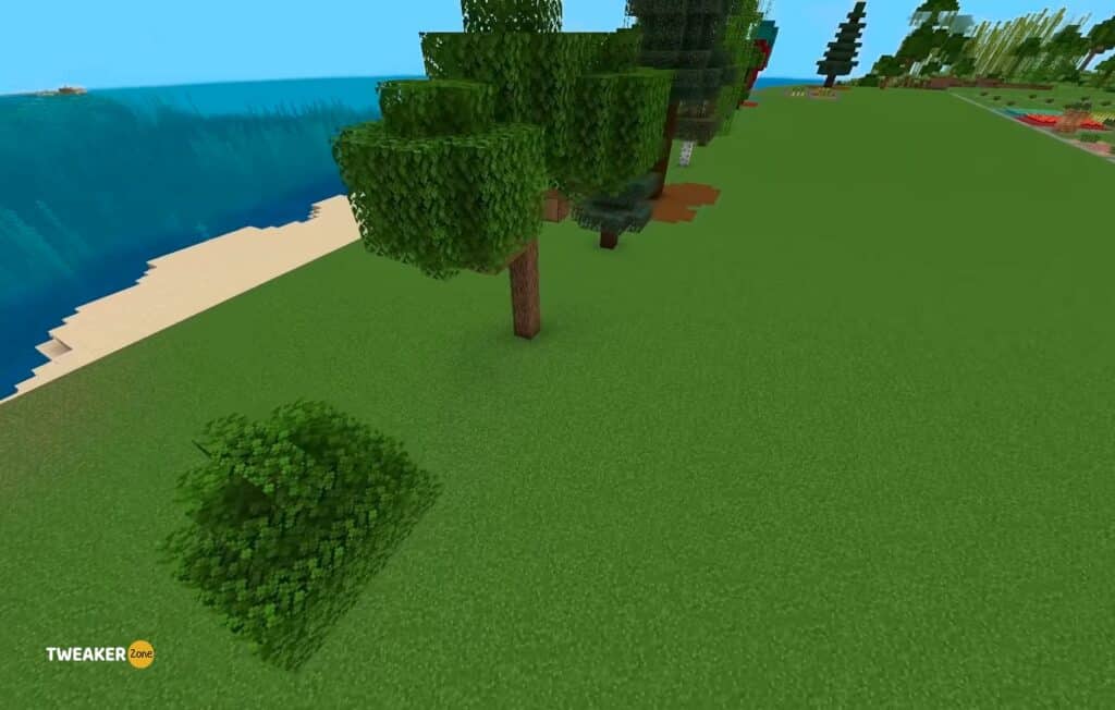 Tree types in Minecraft
