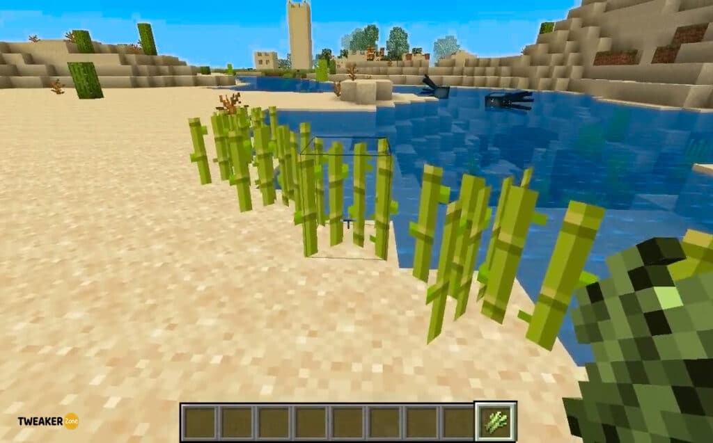 Plant Sugarcane in Minecraft