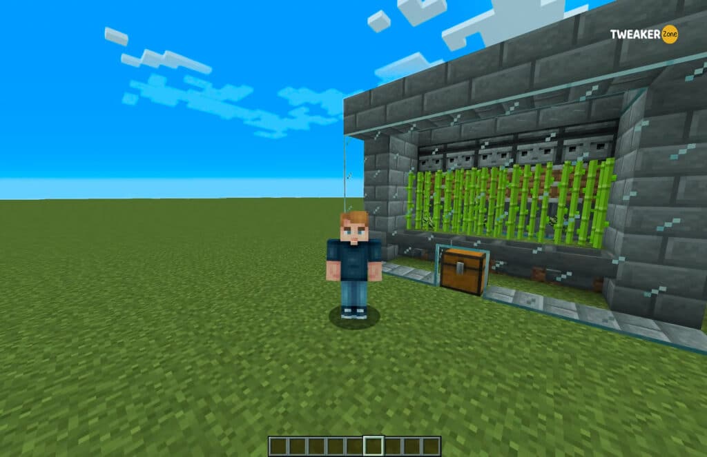 How Does Sugar Cane Farming Works In Minecraft