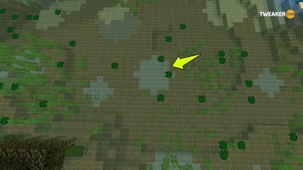 Find Clay Patches In Swamp Biomes