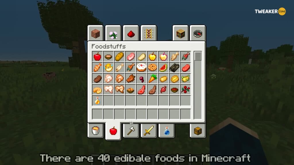 Minecraft Foods