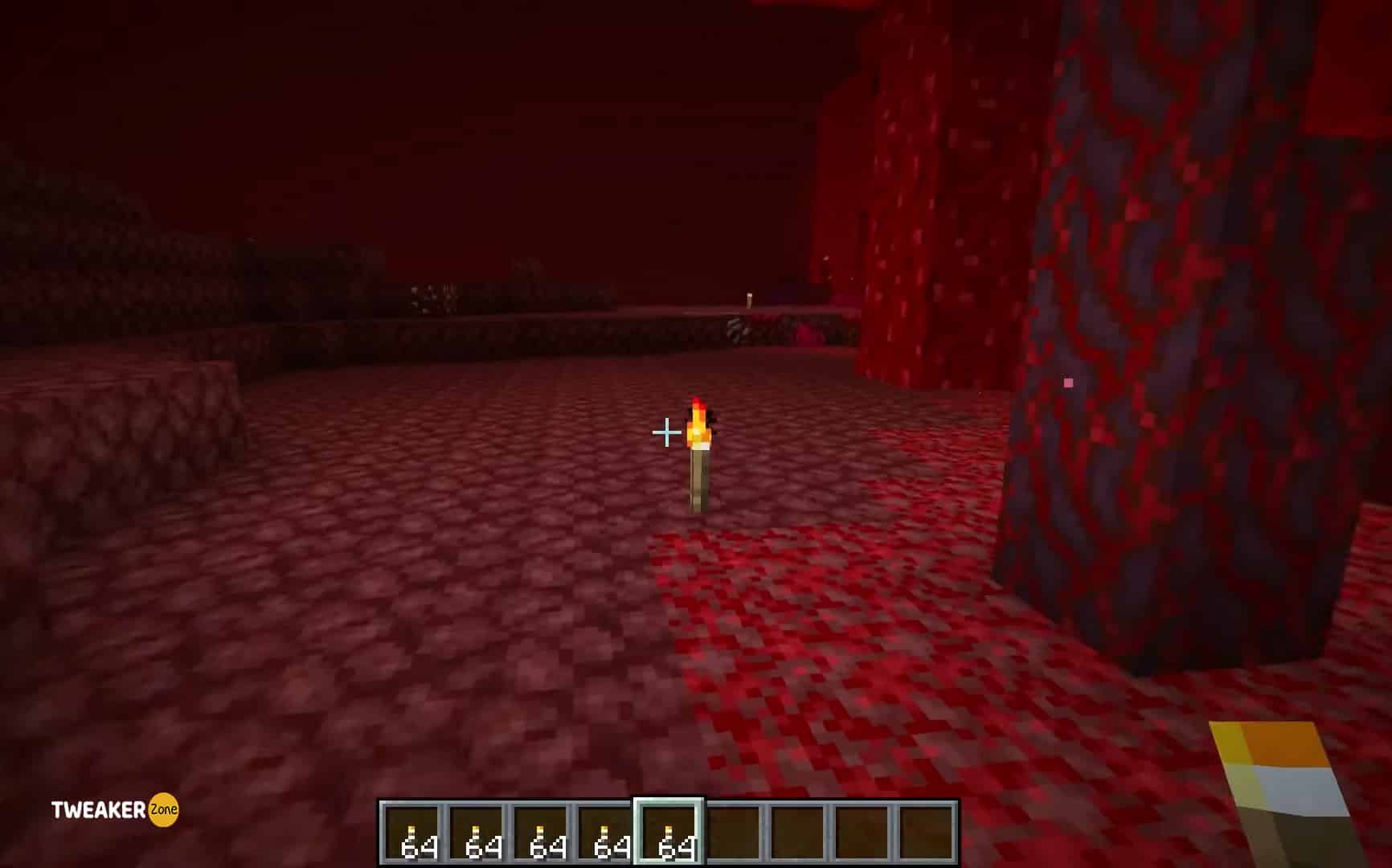 Turn Up the Brightness in nether